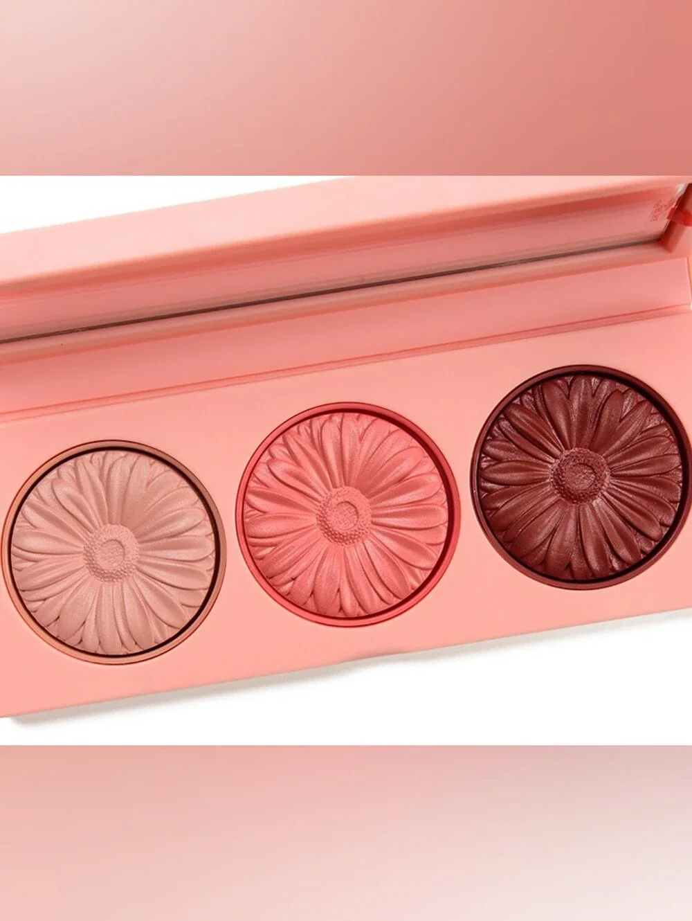 🧚‍♀️Clinique Rare 2020 Edition Cheek Pop Palette Warm Up NWT